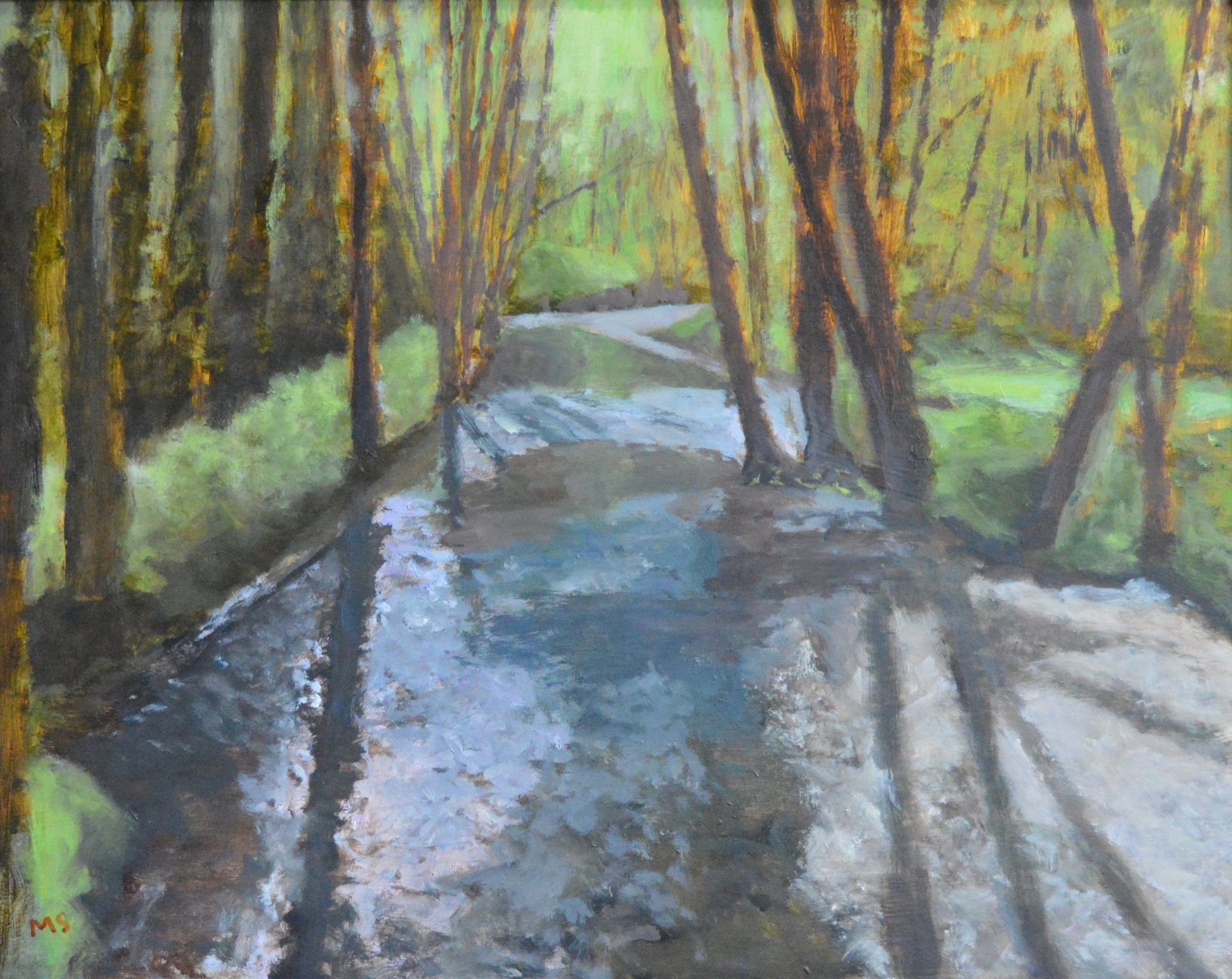 Stream Shadows in Rock Creek