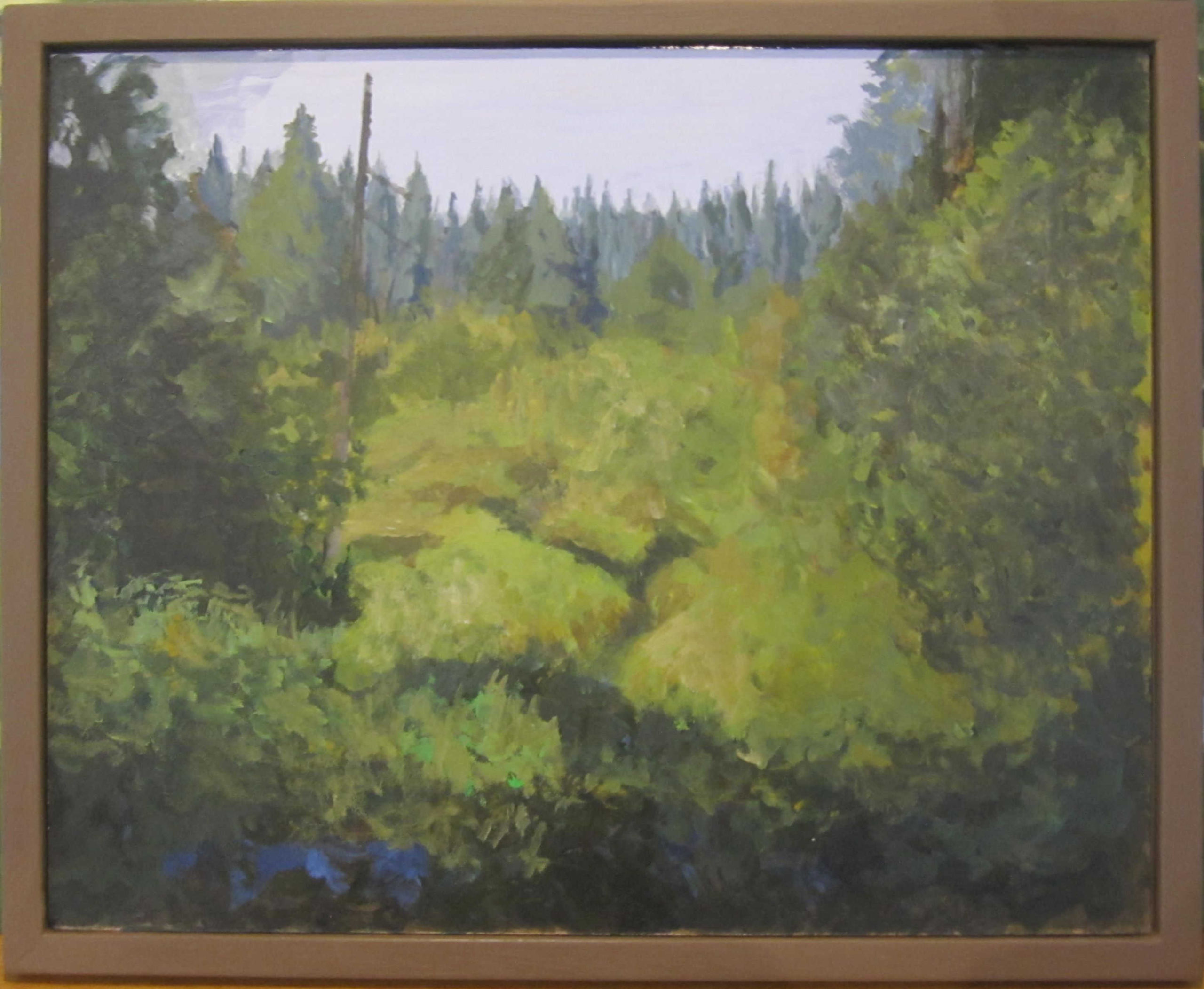 Wall Creek Toward the Lake