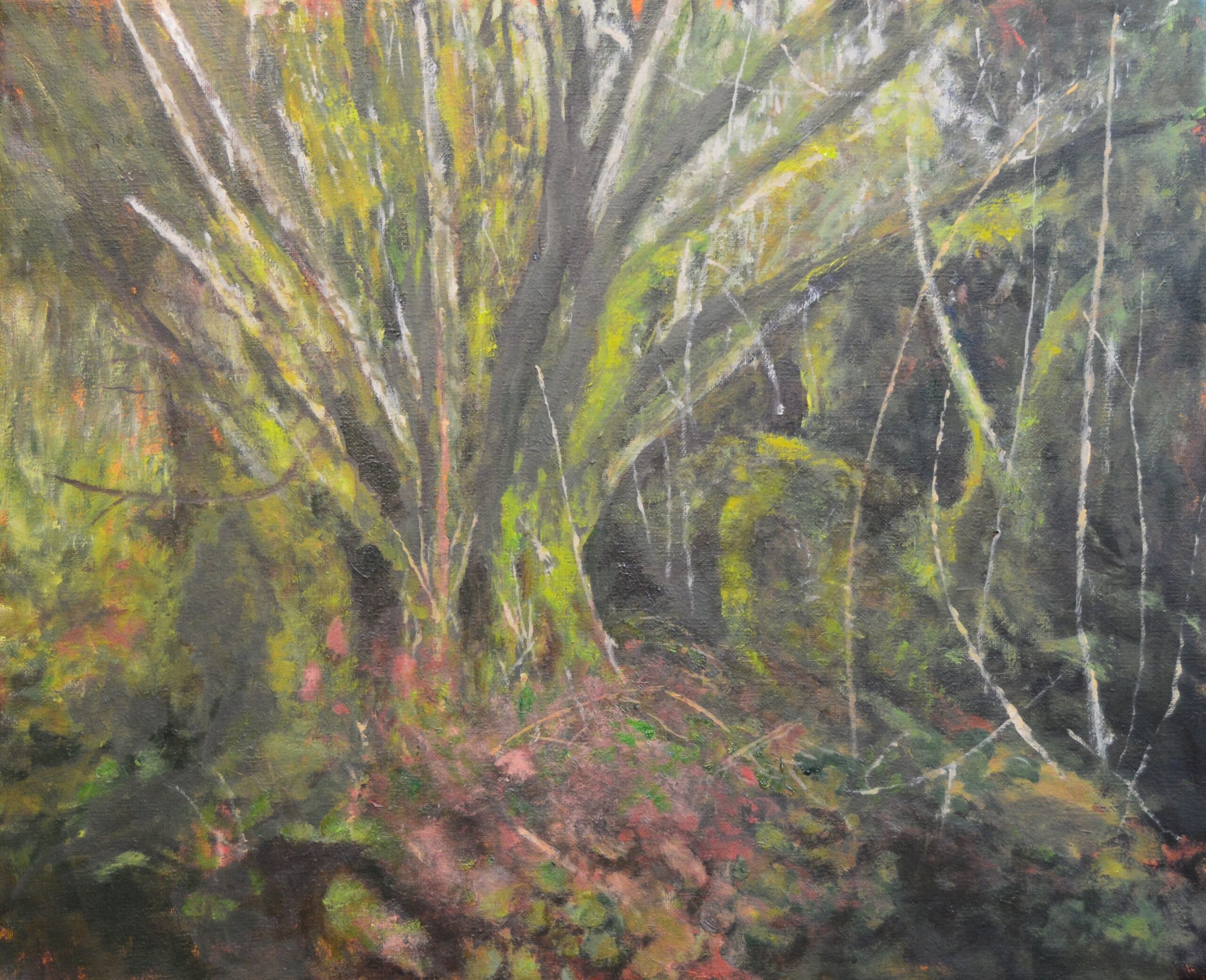 Swamp Tree