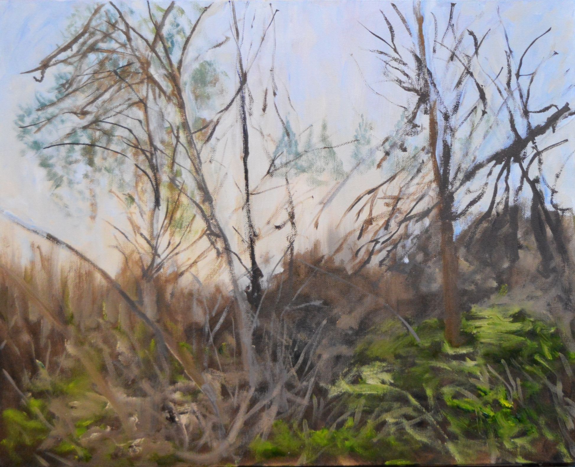 Lowland Mist