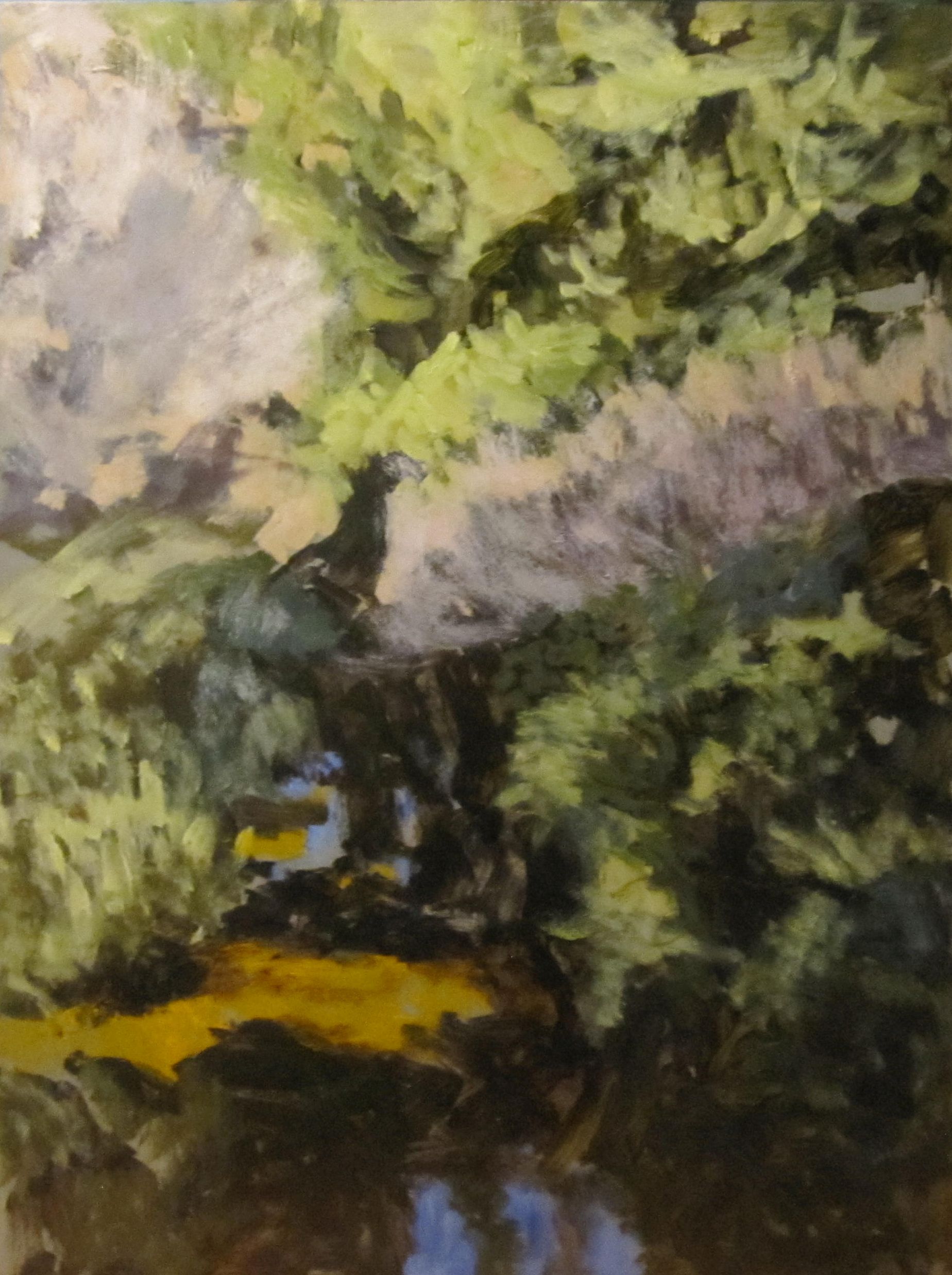 Fogarty Creek: Upstream Abstraction
