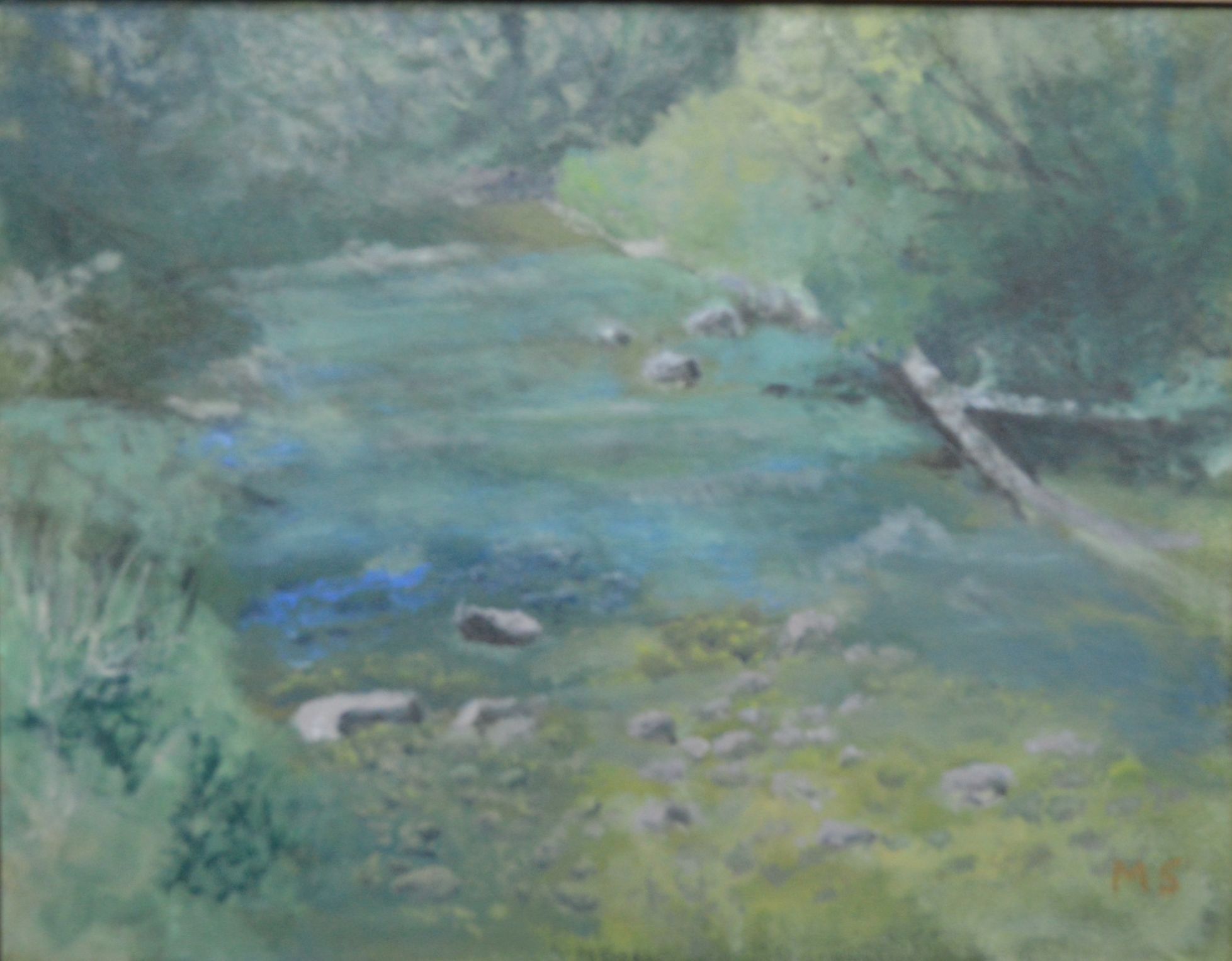 Dreaming Along the Creek