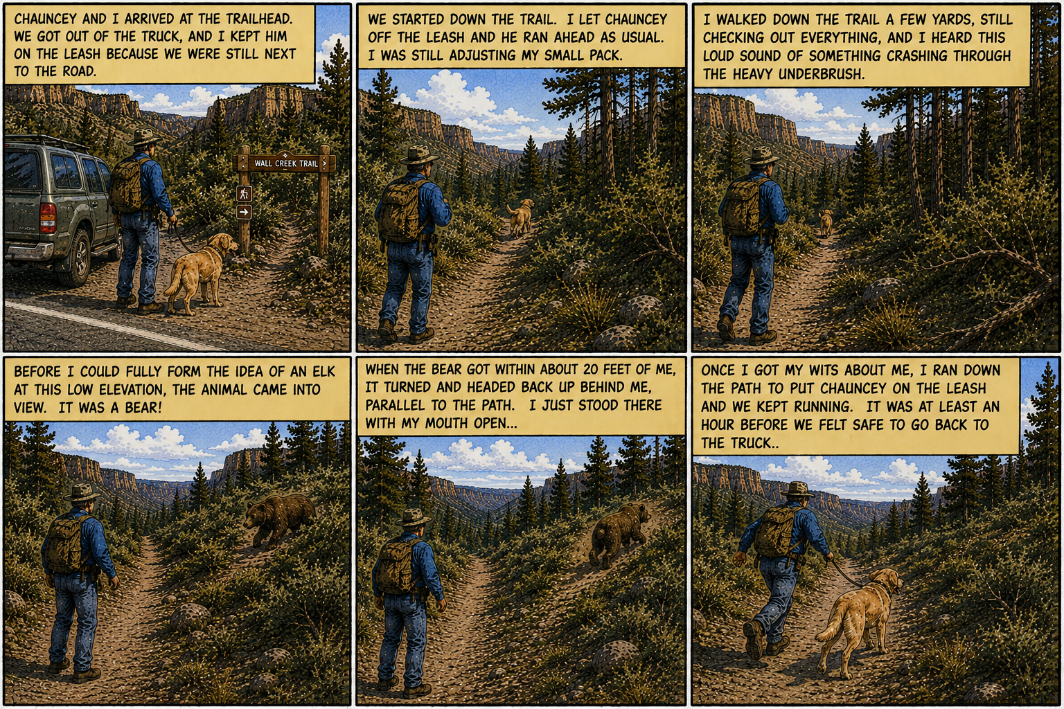 Bear Encounter