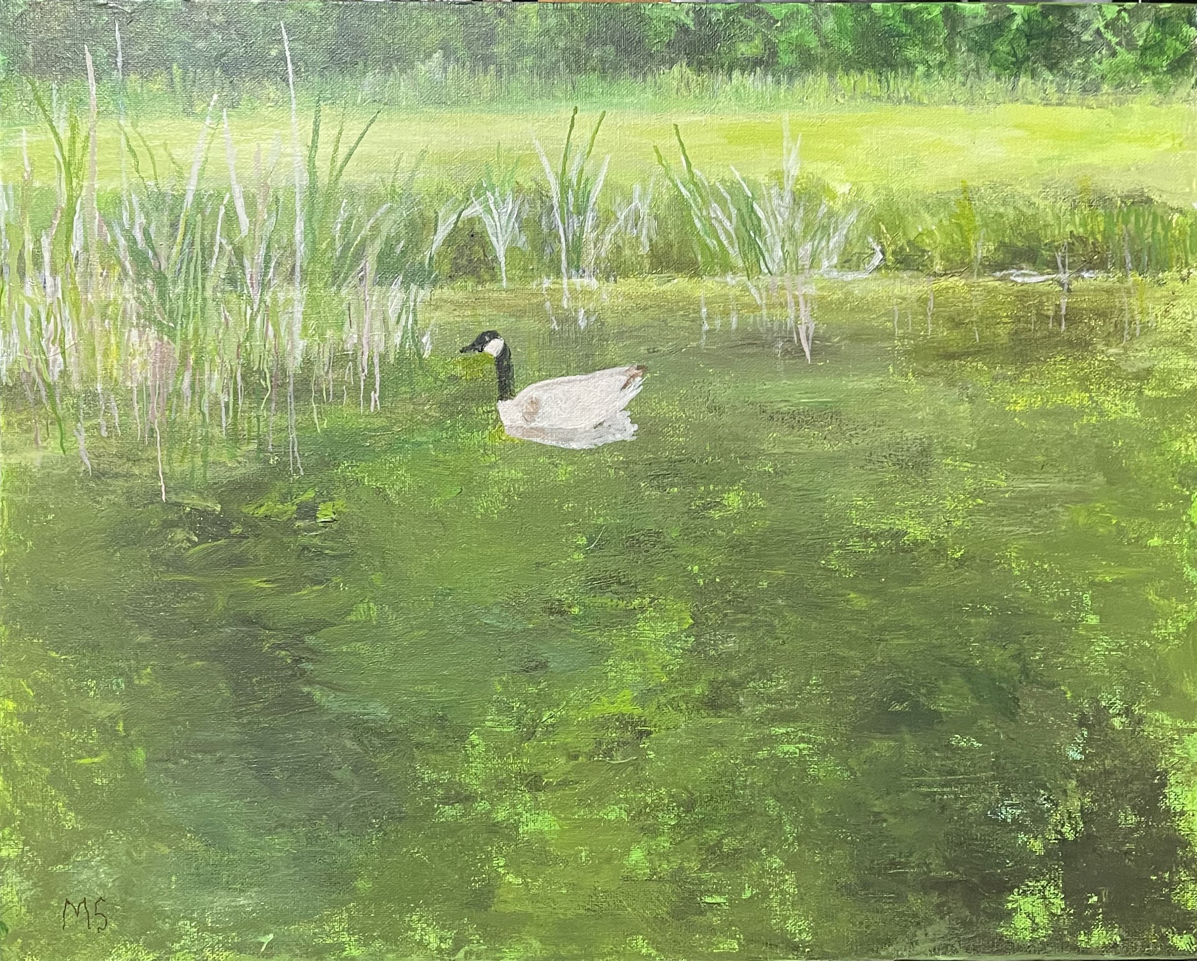 Canada Goose