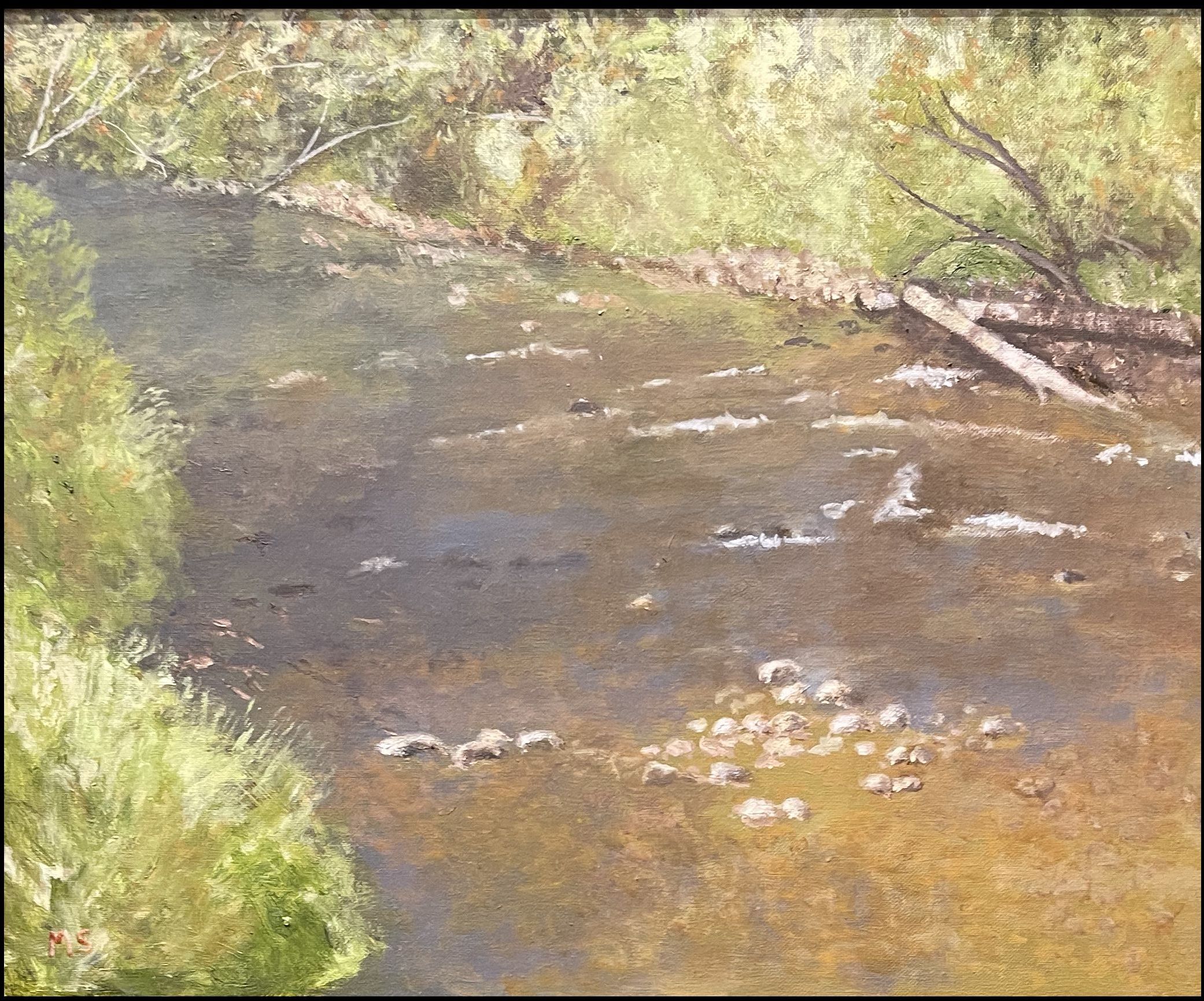 Shallow Stream