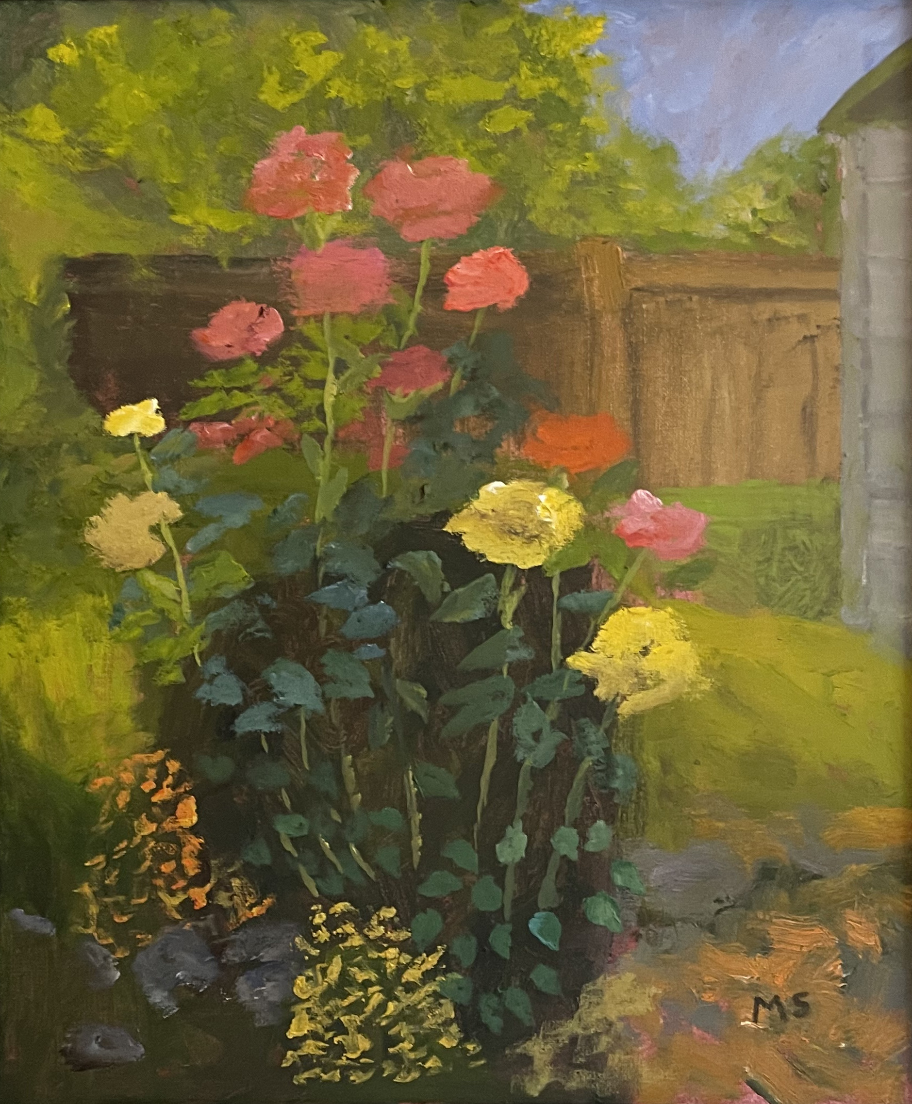 Garden with Roses
