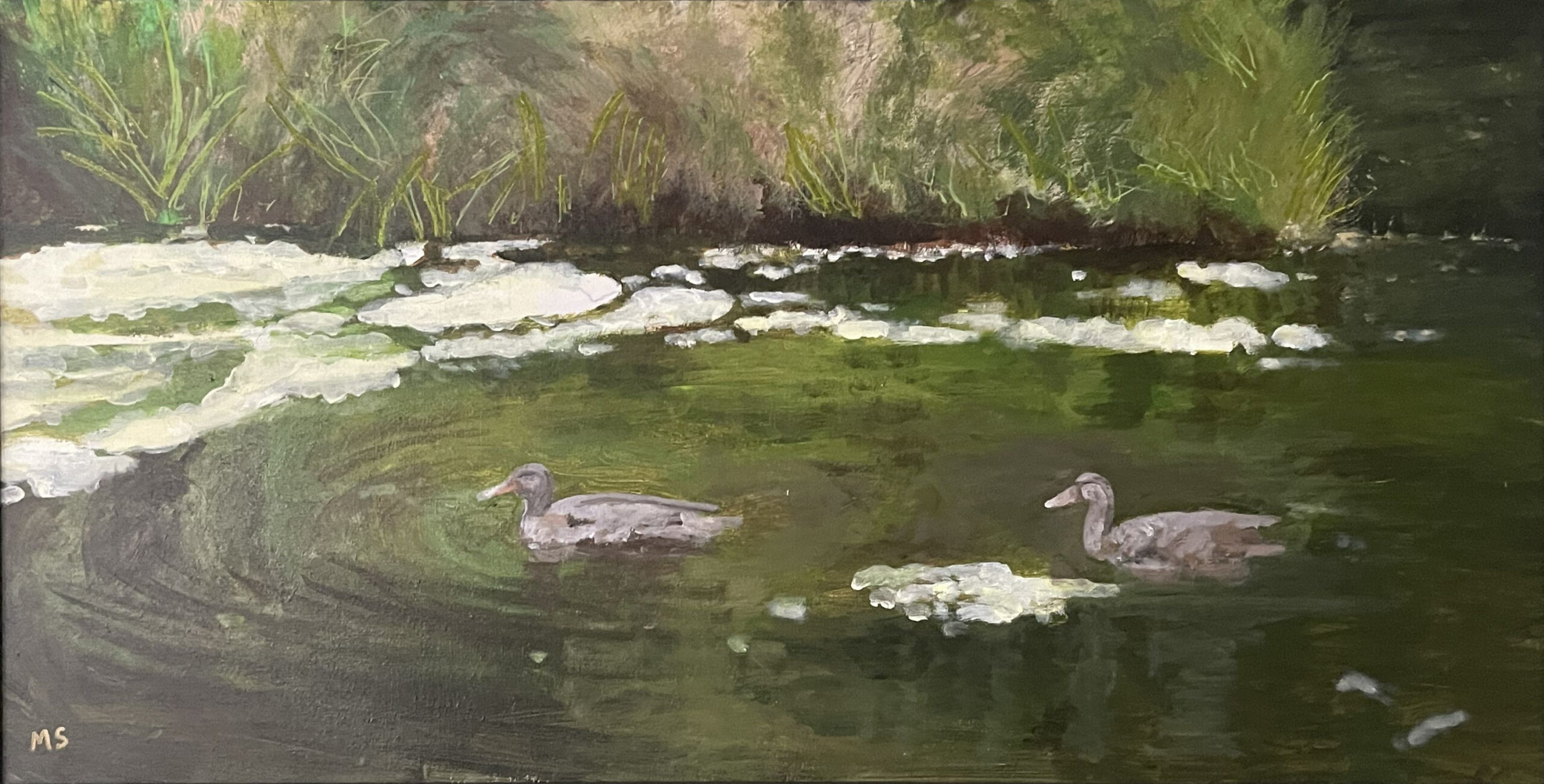 Frog Pond